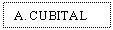 Text Box: A. CUBITAL