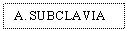 Text Box: A. SUBCLAVIA