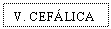 Text Box: V. CEFLICA