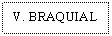 Text Box: V. BRAQUIAL