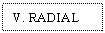 Text Box: V. RADIAL