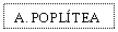 Text Box: A. POPLTEA