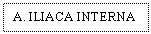 Text Box: A. ILIACA INTERNA

