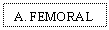 Text Box: A. FEMORAL