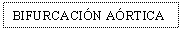 Text Box: BIFURCACIN ARTICA