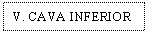 Text Box: V. CAVA INFERIOR
