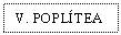 Text Box: V. POPLTEA