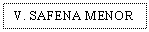 Text Box: V. SAFENA MENOR