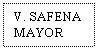 Text Box: V. SAFENA MAYOR