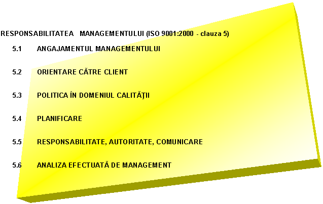 Text Box: RESPONSABILITATEA MANAGEMENTULUI (ISO 9001:2000 - clauza 5)

5.1 ANGAJAMENTUL MANAGEMENTULUI

5.2 ORIENTARE CATRE CLIENT

5.3 POLITICA IN DOMENIUL CALITATII

5.4 PLANIFICARE

5.5 RESPONSABILITATE, AUTORITATE, COMUNICARE

5.6 ANALIZA EFECTUATA DE MANAGEMENT


