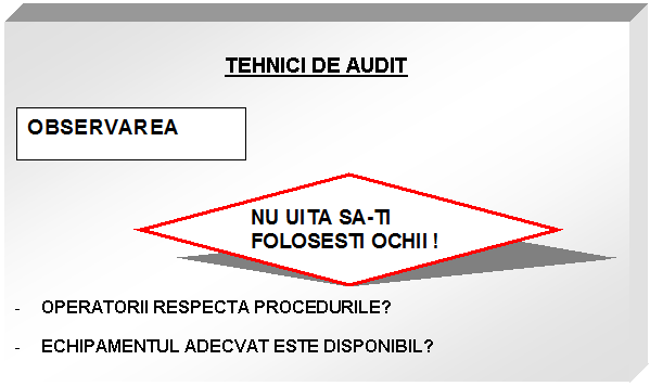 Text Box: TEHNICI DE AUDIT

 
 
- OPERATORII RESPECTA PROCEDURILE?

- ECHIPAMENTUL ADECVAT ESTE DISPONIBIL?


