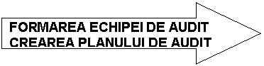 Right Arrow: FORMAREA ECHIPEI DE AUDIT
CREAREA PLANULUI DE AUDIT 
