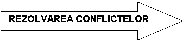 Right Arrow: REZOLVAREA CONFLICTELOR