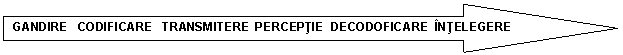 Right Arrow: GANDIRE CODIFICARE TRANSMITERE PERCEPTIE DECODOFICARE INTELEGERE