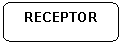 Rounded Rectangle: RECEPTOR