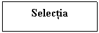 Text Box: Selectia 