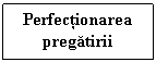 Text Box: Perfectionarea pregatirii