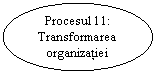Oval: Procesul 11:
Transformarea organizatiei
