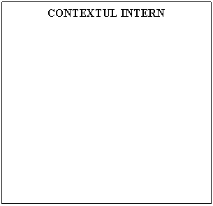 Text Box: CONTEXTUL INTERN
