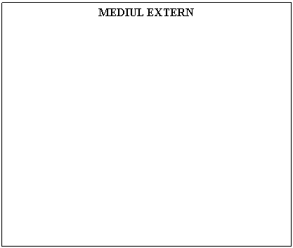 Text Box: MEDIUL EXTERN


