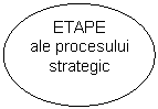 Oval: ETAPE 
ale procesului strategic
