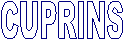 CUPRINS