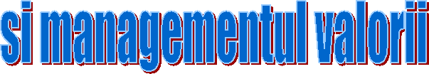 si managementul valorii