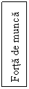Text Box: Forta de munca