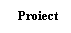 Text Box:   Proiect