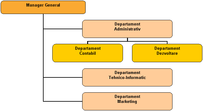 Organization Chart