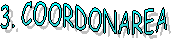 3. COORDONAREA