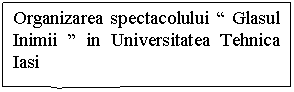 Rectangular Callout: Organizarea spectacolului 