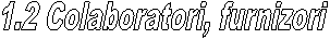 1.2 Colaboratori, furnizori