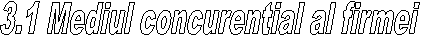 3.1 Mediul concurential al firmei