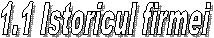   1.1 Istoricul firmei