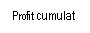 Text Box: Profit cumulat