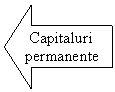 Left Arrow:  Capitaluri
permanente
      permanente
