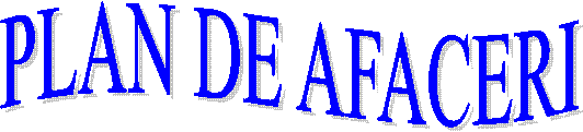 PLAN DE AFACERI