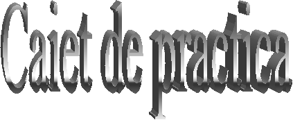Caiet de practica