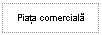 Text Box: Piata comerciala