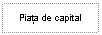 Text Box: Piata de capital