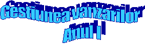 Gestiunea vanzarilor 
       Anul I