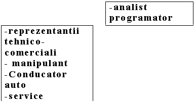 Text Box: -analist programator
-reprezentantii tehnico-comerciali
- manipulant 
-Conducator auto
-service 
