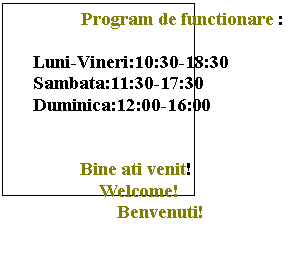 Text Box: Program de functionare :

Luni-Vineri:10:30-18:30
Sambata:11:30-17:30
Duminica:12:00-16:00


 Bine ati venit!
 Welcome!
 Benvenuti!
 

