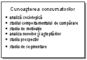Text Box: Cunoasterea consumatorilor
	analiza sociologica
	studiul comportamentului de cumparare
	studiu de motivatie
	analiza nevoilor si asteptarilor
	studiu prospectiv
	studiu de segmentare
