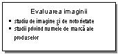 Text Box: Evaluarea imaginii
	studiu de imagine si de notorietate 
	studii privind numele de marca ale produselor
