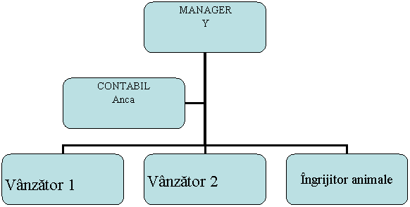 Organization Chart
