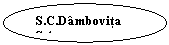 Oval: S.C.Dambovita S.A.