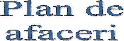 Plan de
afaceri
 