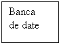Text Box: Banca 
de date
